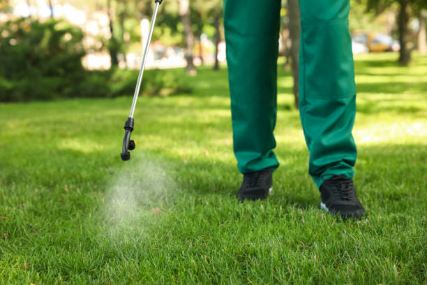 Best Termite Control Services  in Twin Lakes, NM