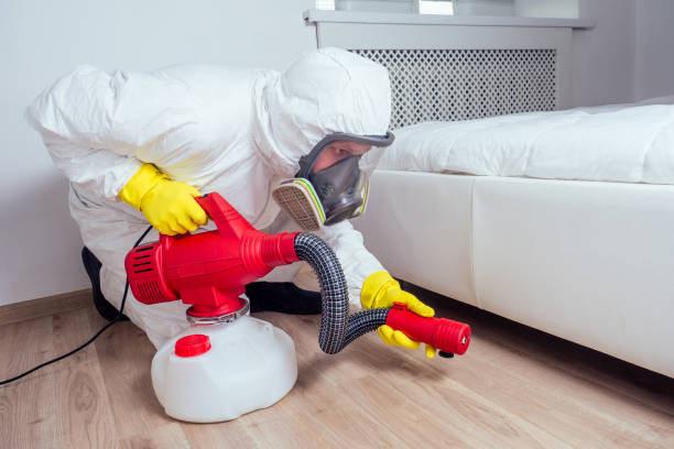 Best Affordable Pest Control Services  in Twin Lakes, NM