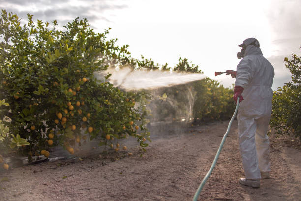 Best Pest Removal Services  in Twin Lakes, NM