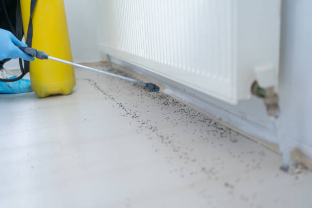 Best Local Pest Control Services  in Twin Lakes, NM